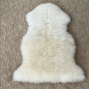 Pottery Barn Teen 2x3 Sheepskin Rug